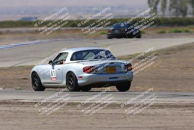 media/Oct-04-2025-OnGrid (Sat) [[44bd565ffa]]/Pink Group/Grapevine/